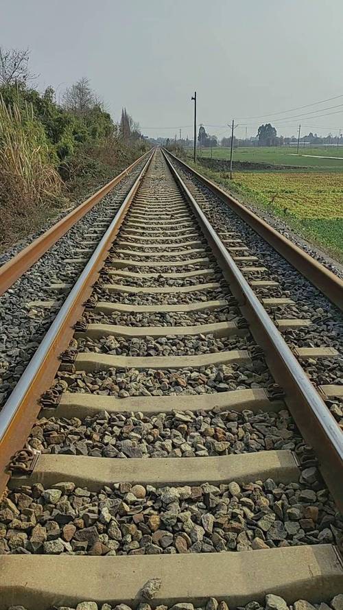 钢轨与钢轮的滚动摩擦系数是多少 钢轨与钢轮的滚动摩擦系数是多少