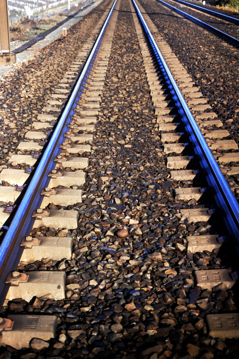 物理学渣求解 单摆模型的 一个圆形轨道 物理学渣求解 单摆模型的 一个圆形轨道