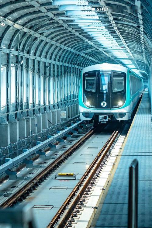 道岔名词解释 道岔名词解释